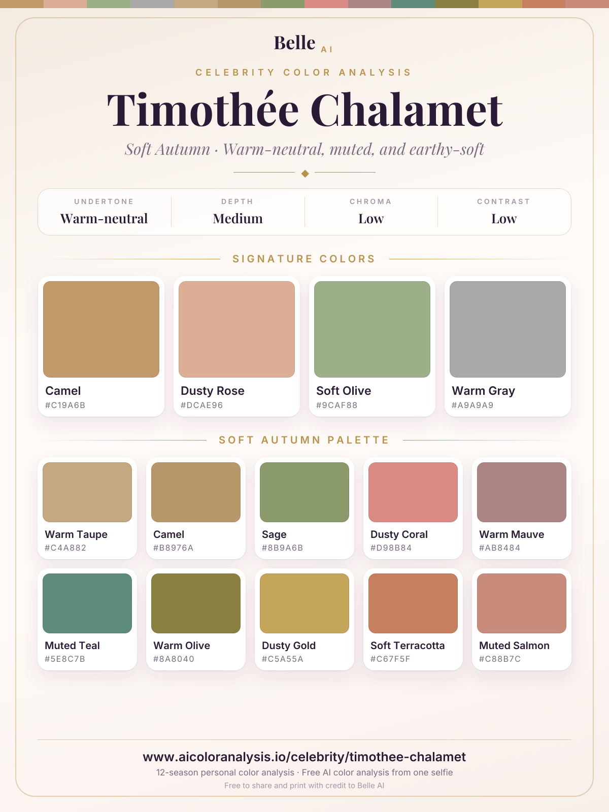Timothée Chalamet color palette card: signature colors and season palette, with hex codes